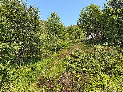 Wir kämpfen uns durch die üppige Vegetation