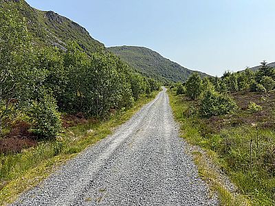...und bleiben stets am geschotterten Weg