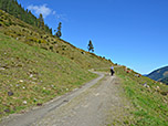 Wir beginnen unsere Wanderung über den Forstweg, der nordwärts...