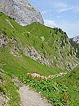 Von der Alm folgen wir dem breiten Weg...