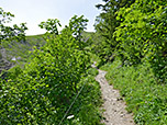 Aufstieg durch lichten Wald