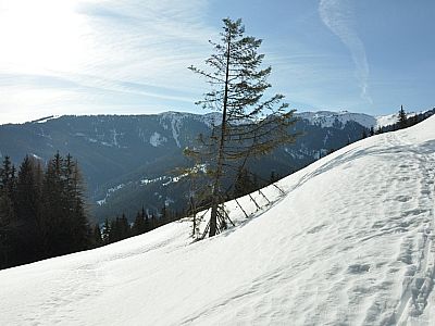 genießen wir die Sonne und...