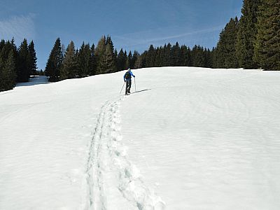 Gemütlich steigen wir weiter...