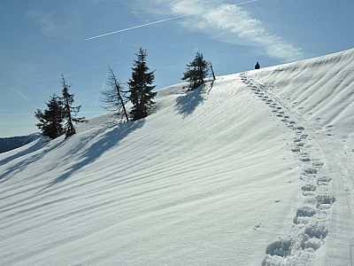 steigen wir bei Traumsicht auf.