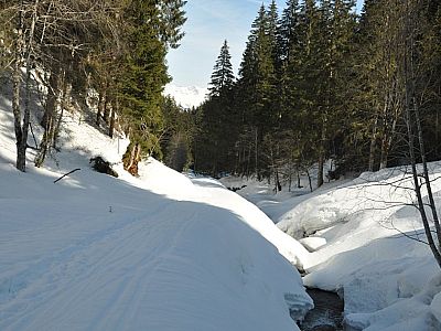schließlich zum Schwarzleobach
