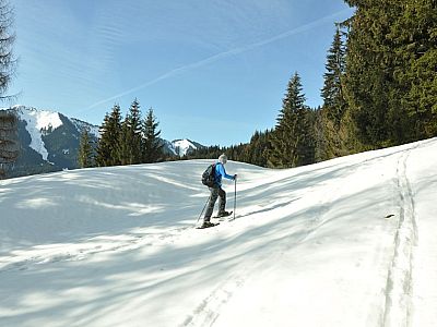 mal über freie Flächen...