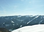 Blick über den Bayerischen Saalforst