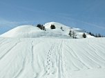 Weiter über die sonnigen Gipfelhänge...