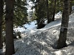 Mal im Wald,...