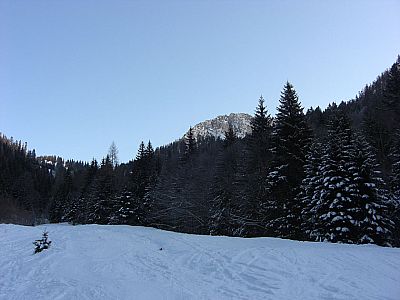 Durch eine breite Schneise