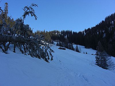 ...und über Hänge...