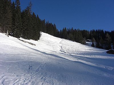 Der Hang gerät endlich in die Sonne