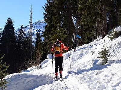 ... und steigen durch den Wald bergauf.