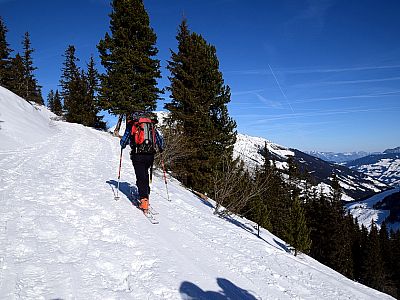 Wieder erreichen wir den Wirtschaftsweg, ...