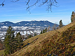 ...und zum Zwieselberg, Heigelkopf und Blomberg