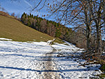...und folgen dem Wiesenpfad...