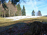 Die eingezäunte Gipfelwiese