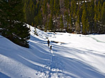 ...hinunter zum Taubensee