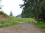...und wir erreichen die Wiesen der Dalsenalm