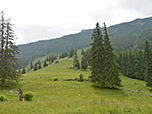 Blick zum Weitlahnerkopf