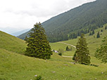 ...und hinunter zur Dalsenalm