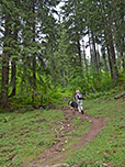 ...erreichen wir wieder den Bergwald...