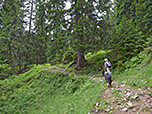 ...und kurze Waldstücke...