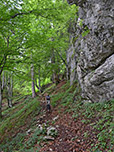...und leitet uns vorbei an Felswänden...