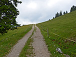 Wir folgen dem Fahrweg...