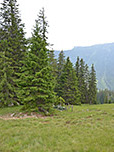 Blick zurück zum Abzweig