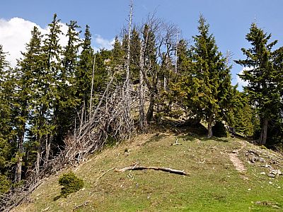 und schließlich den Grat.