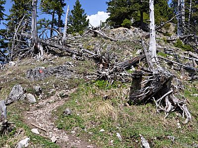 Es geht den Grat bergauf