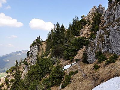 Auf der Nordseite des Sorgschrofen