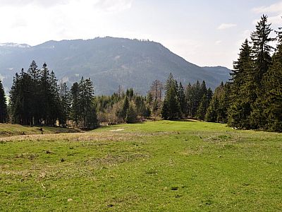 Über Wiesen weiter bergab