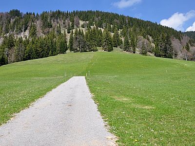 Der Schotterweg endet scheinbar abrupt