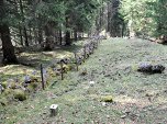 Alle paar Meter ein Grenzstein