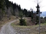 Weiter auf dem Forstweg...
