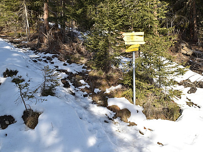Wir bleiben weiter auf dem Steig, der die Fahrstraße abkürzt