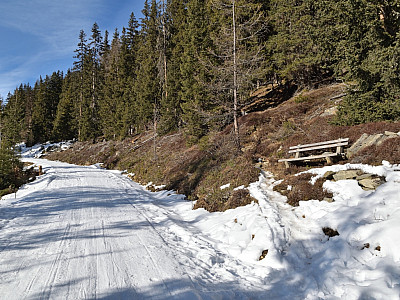 An einer Bank zweigt wieder der Steig zur Hütte ab