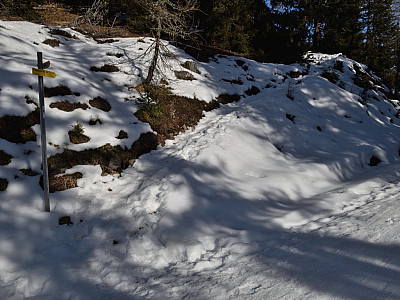 Ein letztes mal kreuzen wir die Rodelbahn, ...