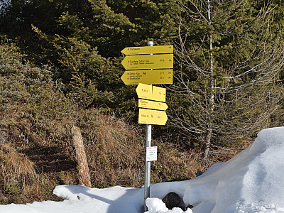 Zwei Wege führen zum Gipfel des Speikboden