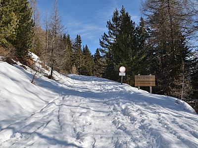 Für den Aufstieg folgen wir weiter der Fahrstraße nach Osten