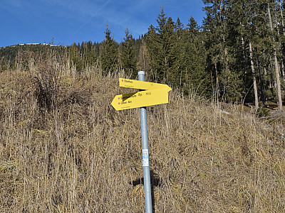 Hier biegen wir links auf den Sommerweg ab, ...