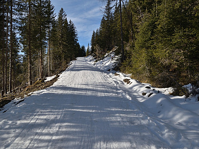 Die Rodelbahn ist in einem erstaunlich guten Zustand
