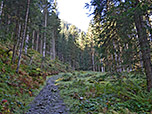 ...und folgen einem Waldpfad...