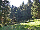 ...über Lichtungen...