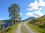 Von der Alm folgen wir einem Karrenweg