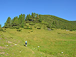 Über Wiesengelände wandern wir zur latschenbewachsenen Flanke des Spirzingers