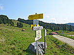 Wegweiser oberhalb der Goglalm