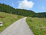 An der Goglalm schlagen wir den Fahrweg Richtung Spitzsteinhaus ein